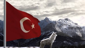 Bozkurt yine görevini yaptı – Nedim Şener