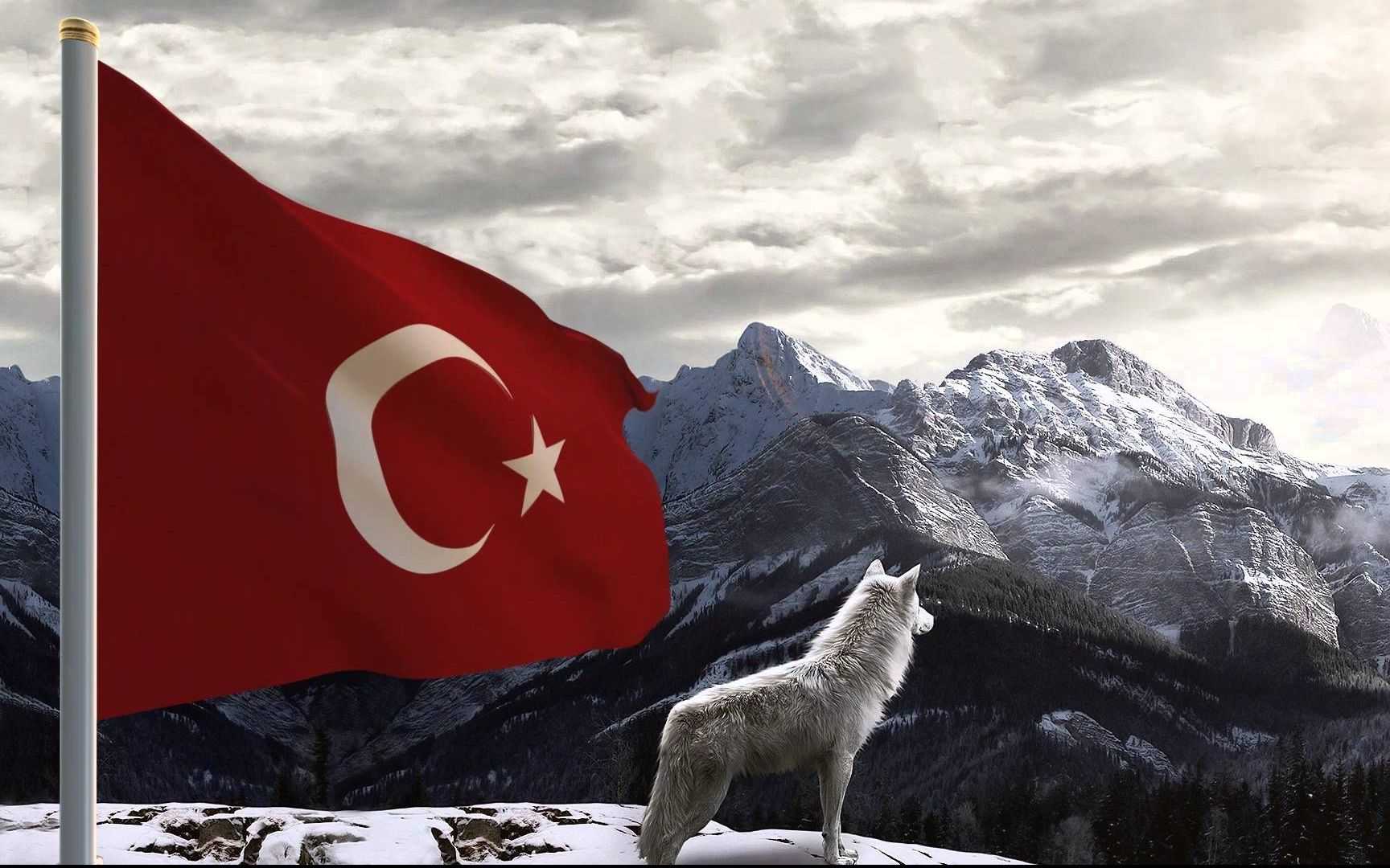 Bozkurt yine görevini yaptı – Nedim Şener