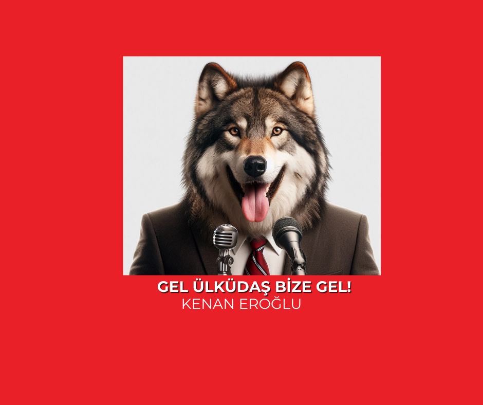 Gel Ülküdaş Bize Gel!