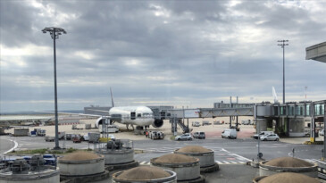 İsrailli uçuş ekibine ‘Özgür Filistin’ dedi görevden uzaklaştırıldı