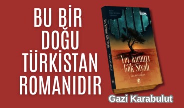 BU BİR DOĞU TÜRKİSTAN ROMANIDIR