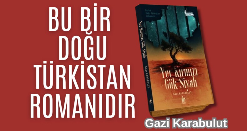 BU BİR DOĞU TÜRKİSTAN ROMANIDIR