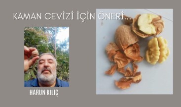 Kaman cevizi için öneri…