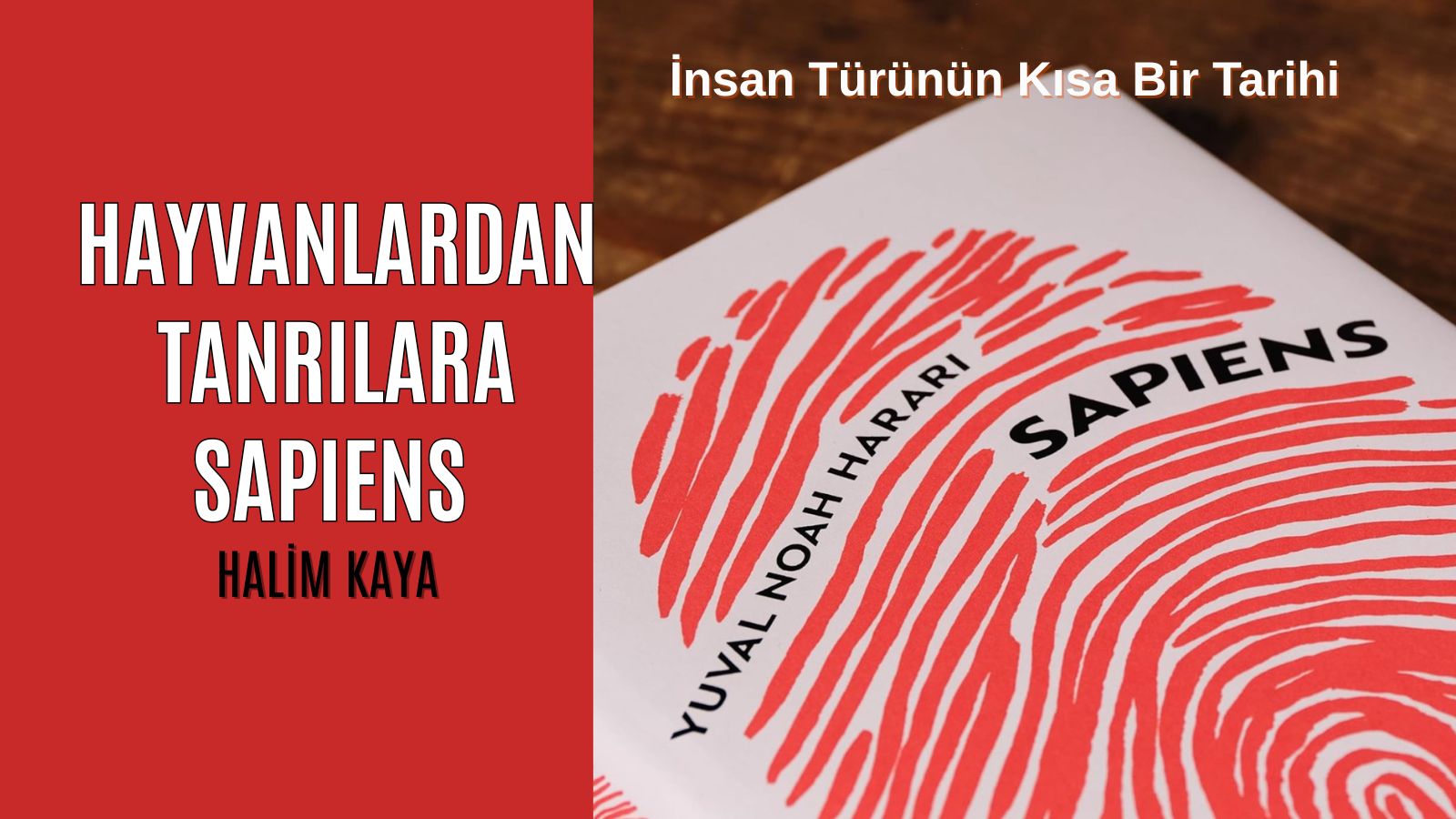 HAYVANLARDAN TANRILARA SAPIENS  -İnsan Türünün Kısa Bir Tarihi –