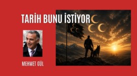 Tarih Bunu İstiyor