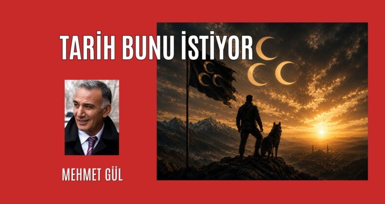 Tarih Bunu İstiyor