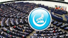 AVRUPA PARLAMENTOSU’NA CEVAP: ÜLKÜ OCAKLARI TÜRK MİLLETİNİN ASLÎ CEVHERİDİR